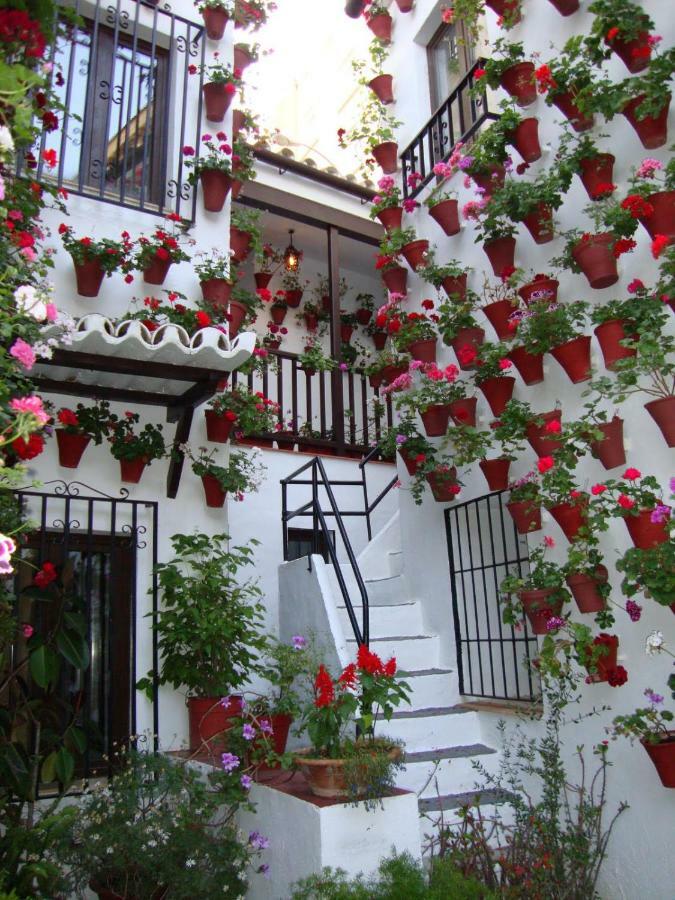 El Balcon De La Juderia Daire Cordoba Dış mekan fotoğraf